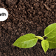 Illustration for article titled This Is How We Can Secure Our Food Supply and Stabilize Our Climate